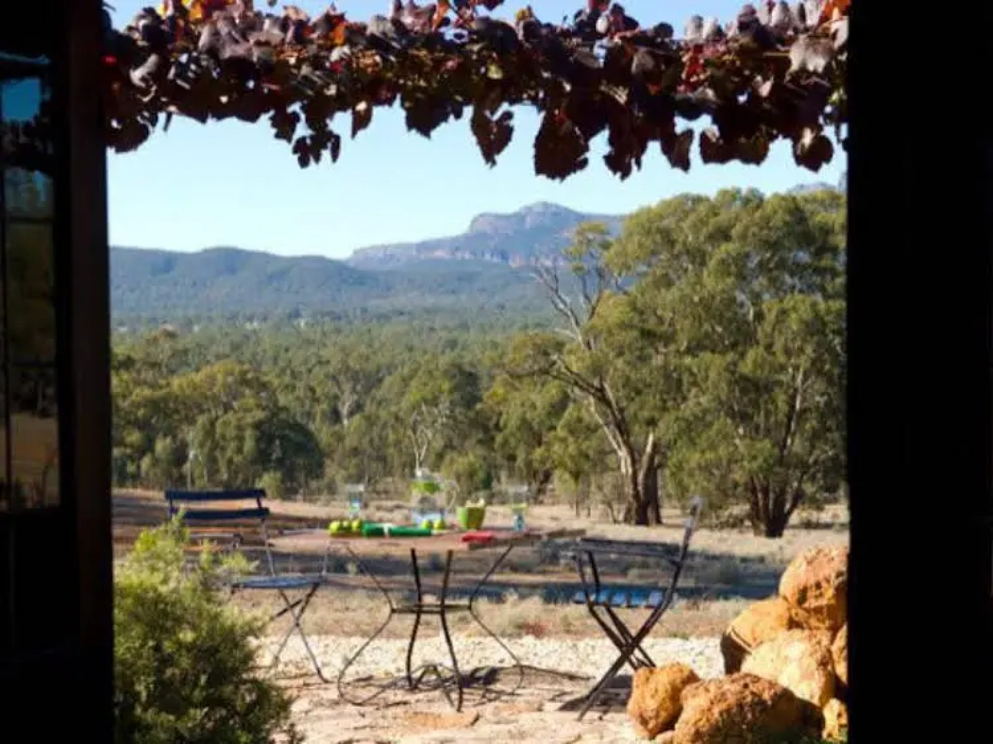 Kangaroos In The Top Paddock