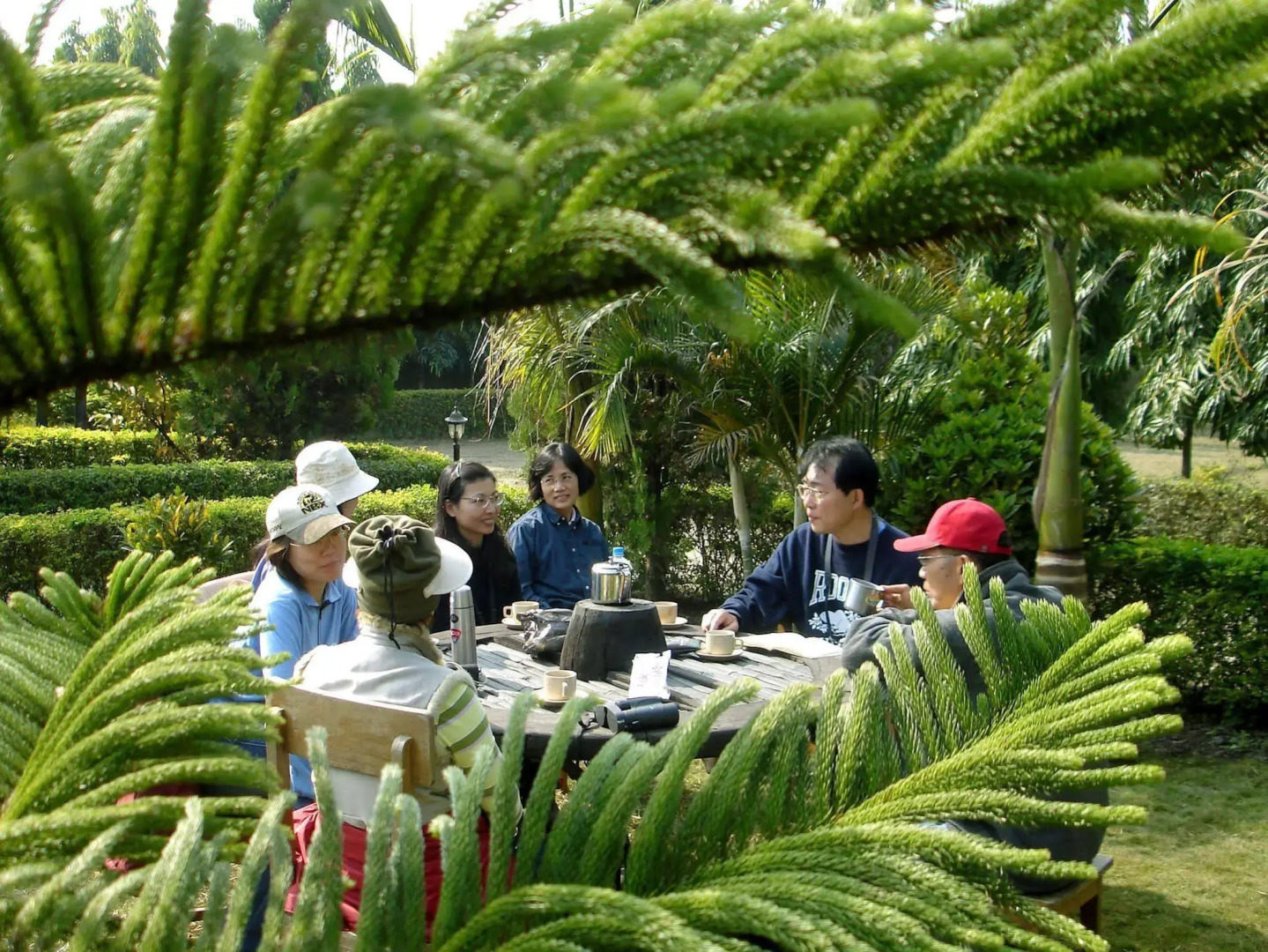 Jungle Safari Resort