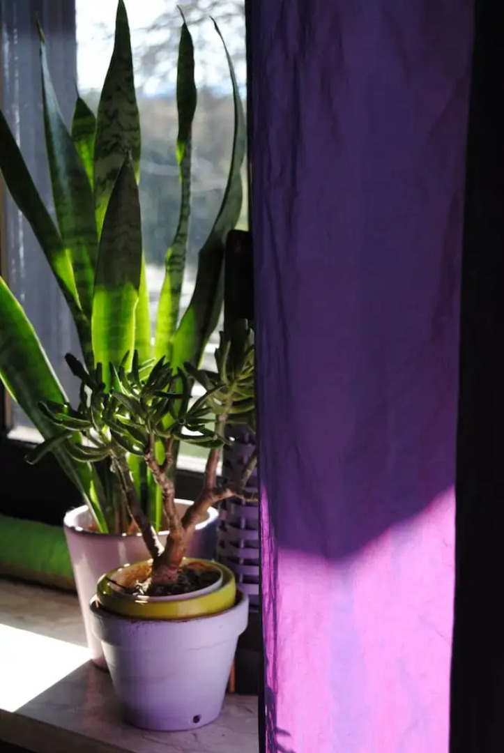 Rustico Felix Affittacamere