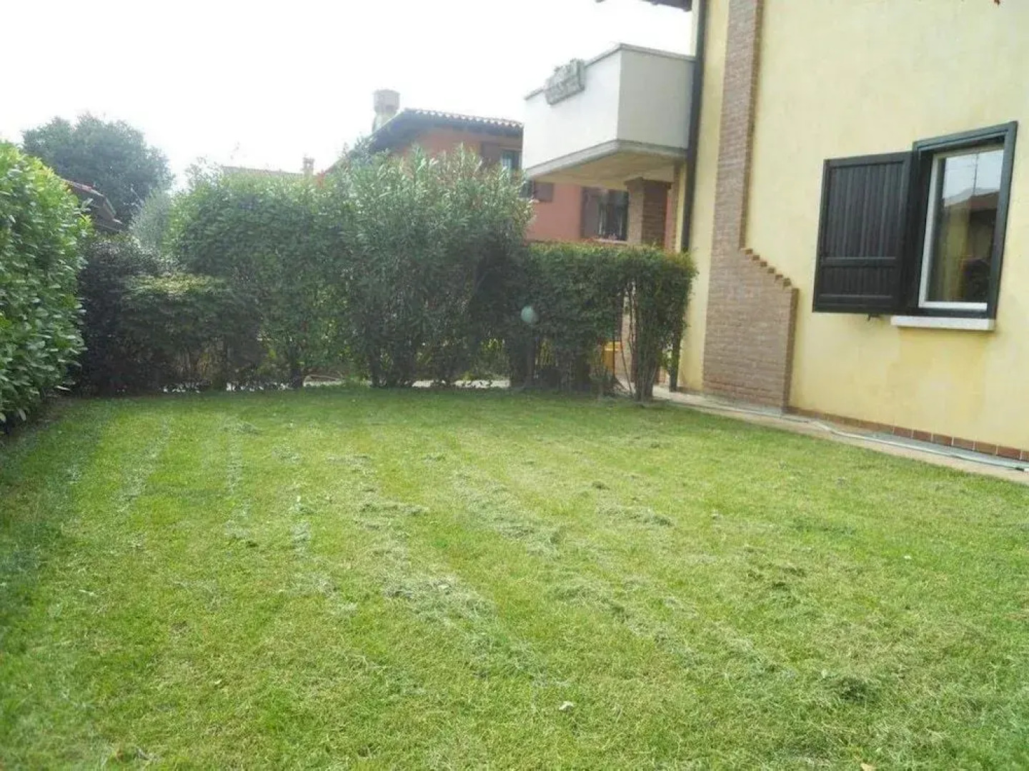 Uva Bianca in Franciacorta