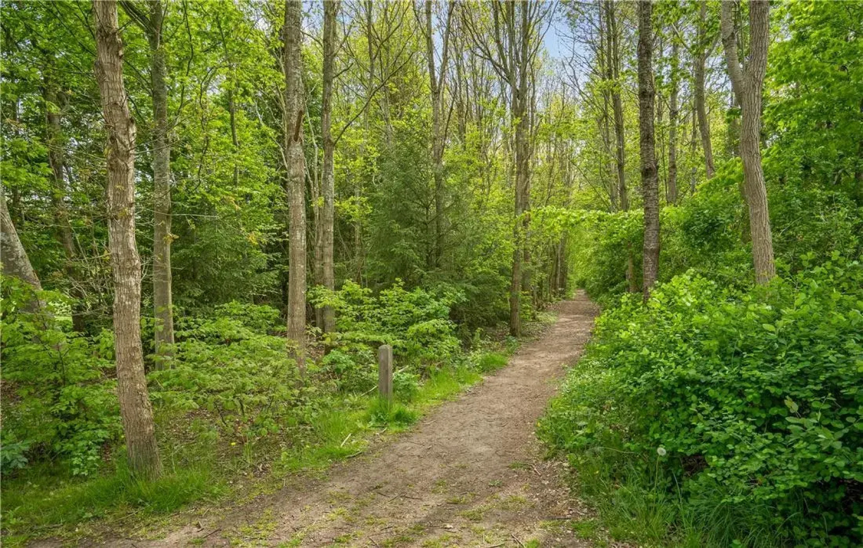 Dancamps Trelde Næs