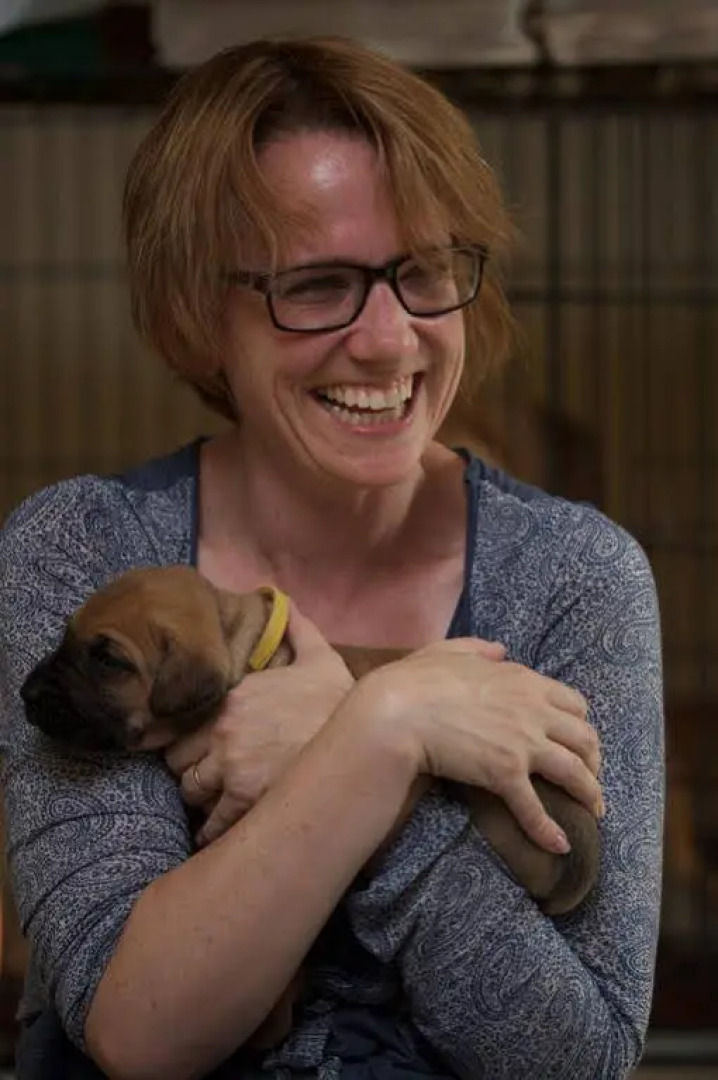 Devons Duck n Dane B&B