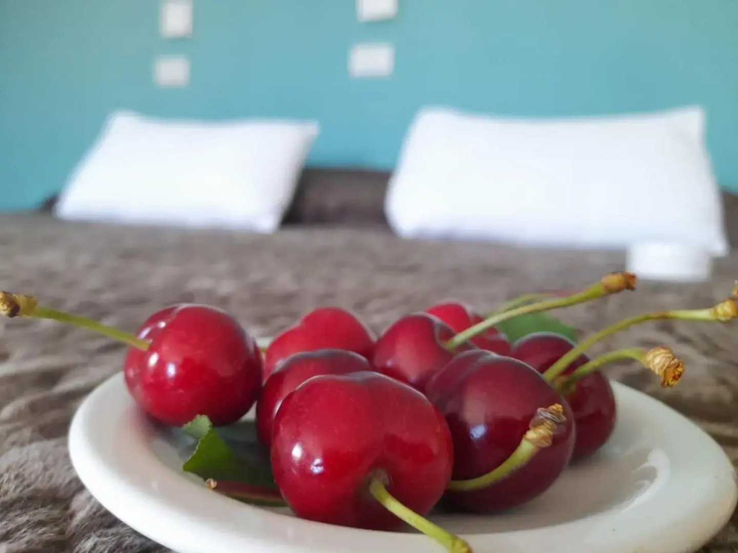 Los Antiguos Cerezos