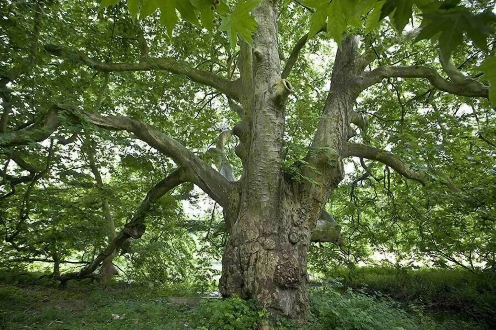 Château de la Bûcherie