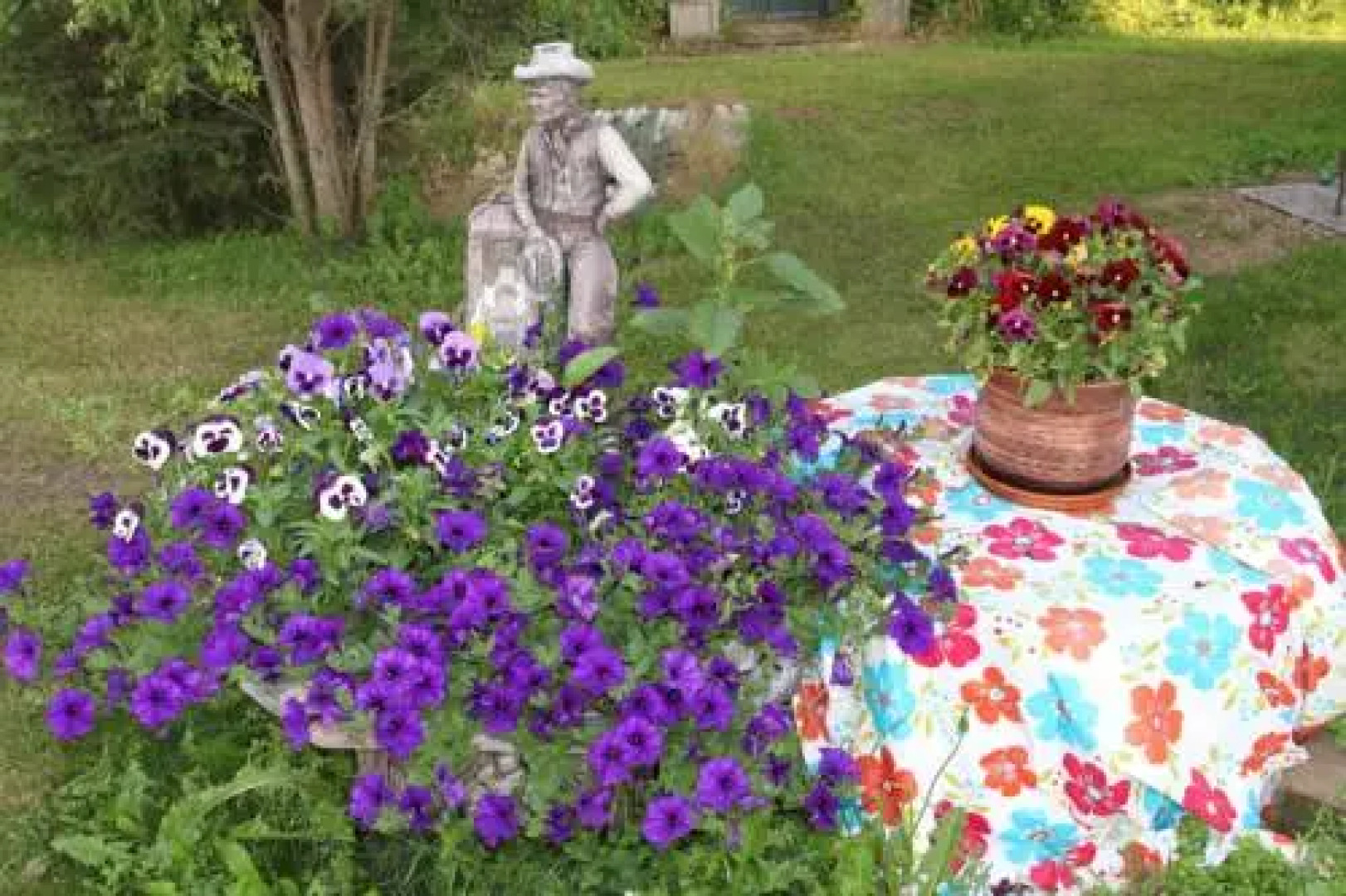 Evergreen Birch Lodge