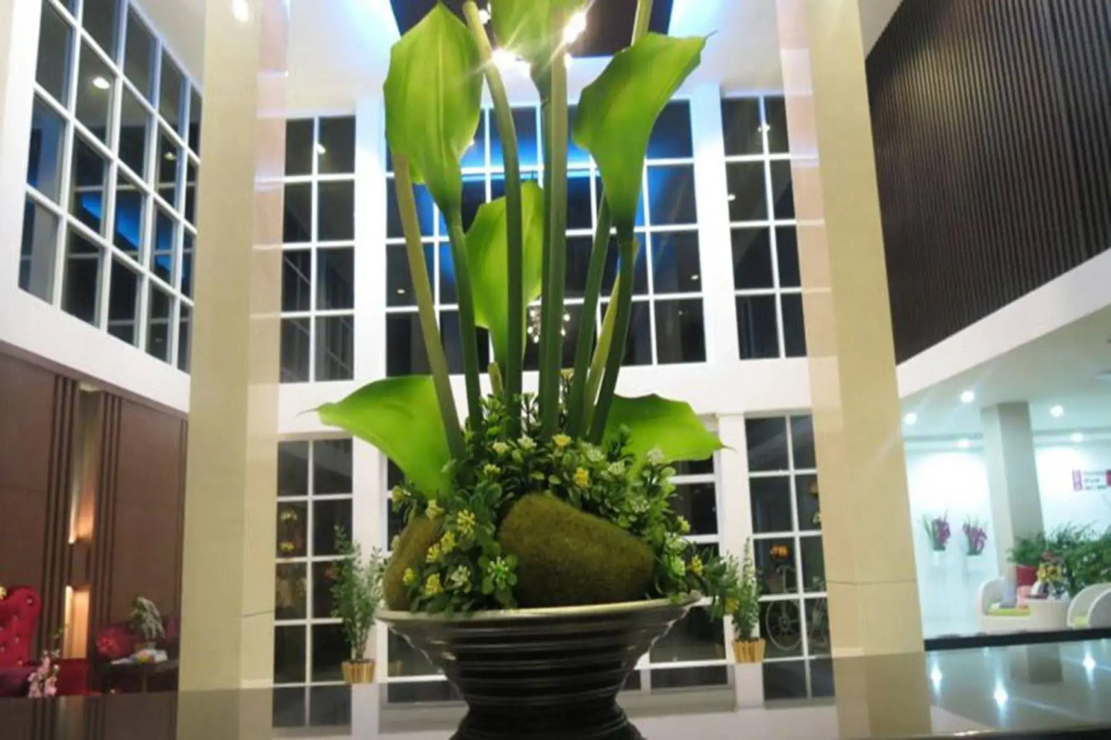 The Zara Double Tree Hotel