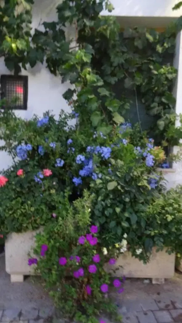 Casa Rural Francisca