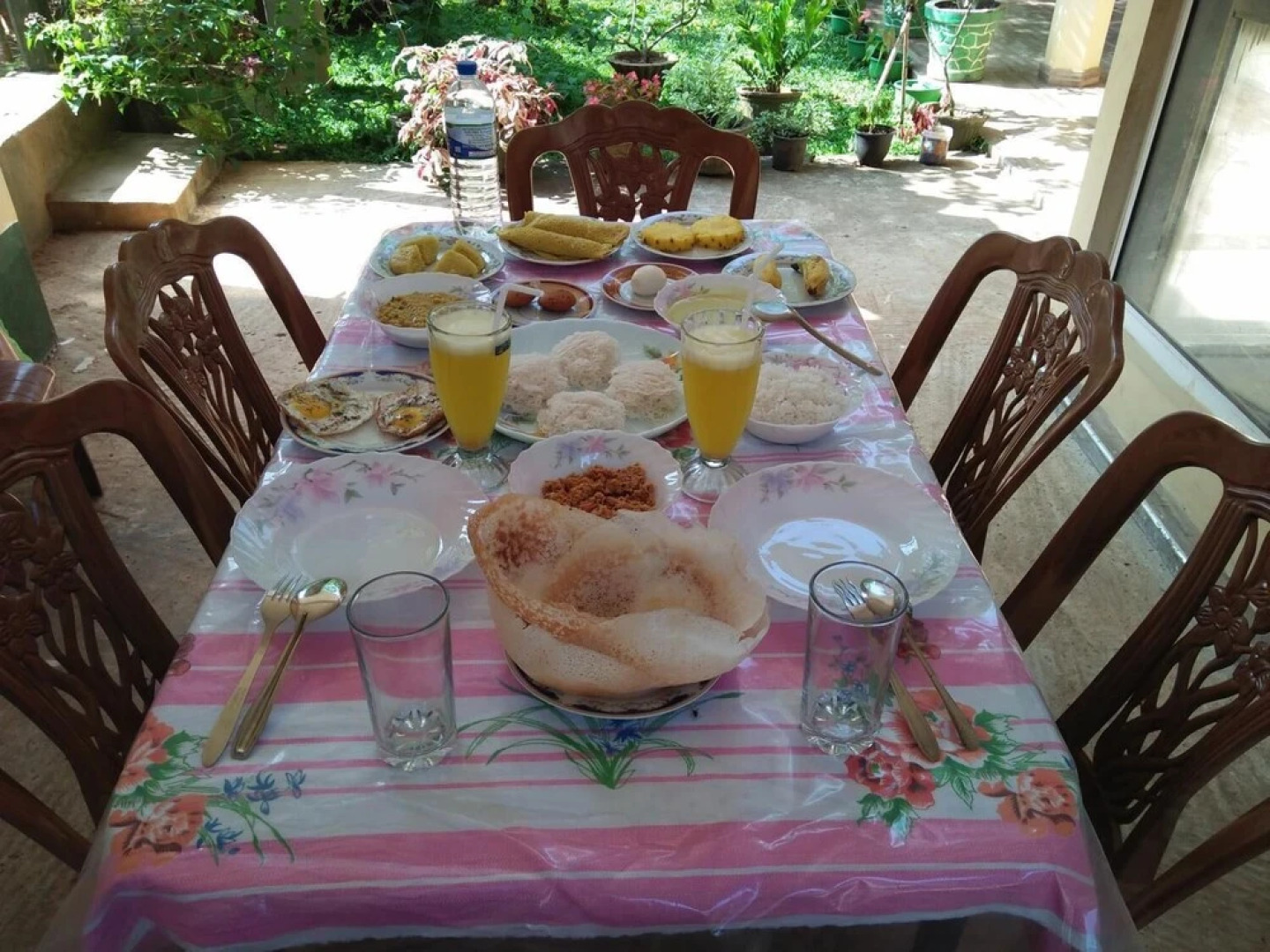 Wildlife Safari House