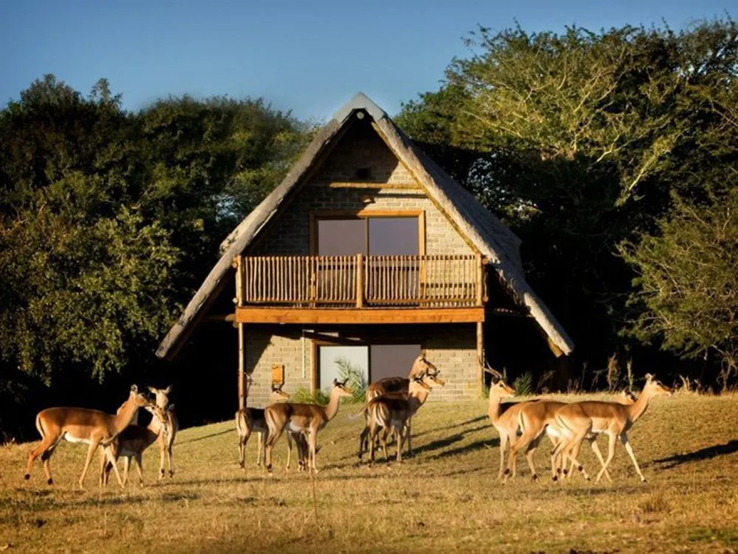 Amorello Safari Park