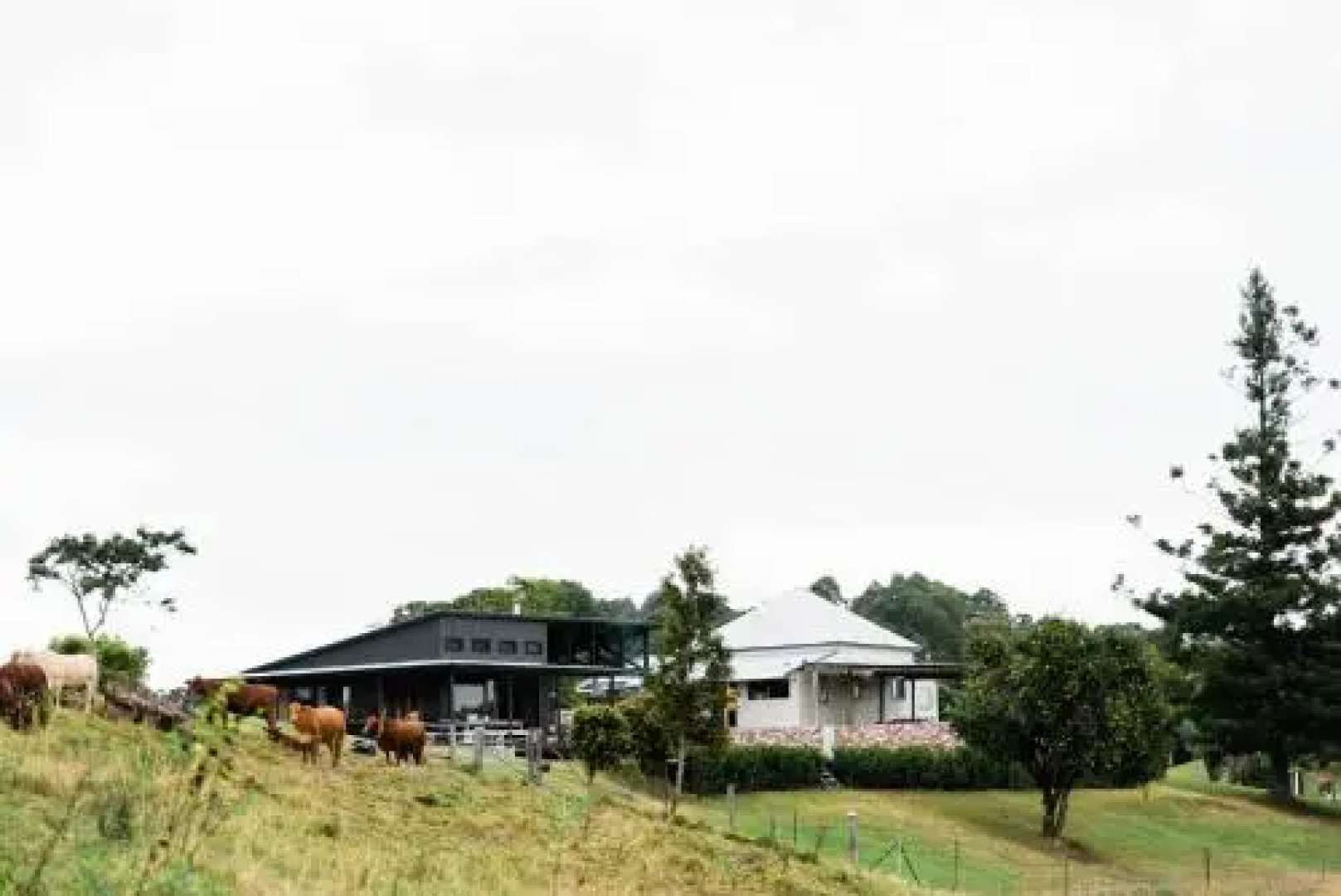 Thirlestane Farm Cottage