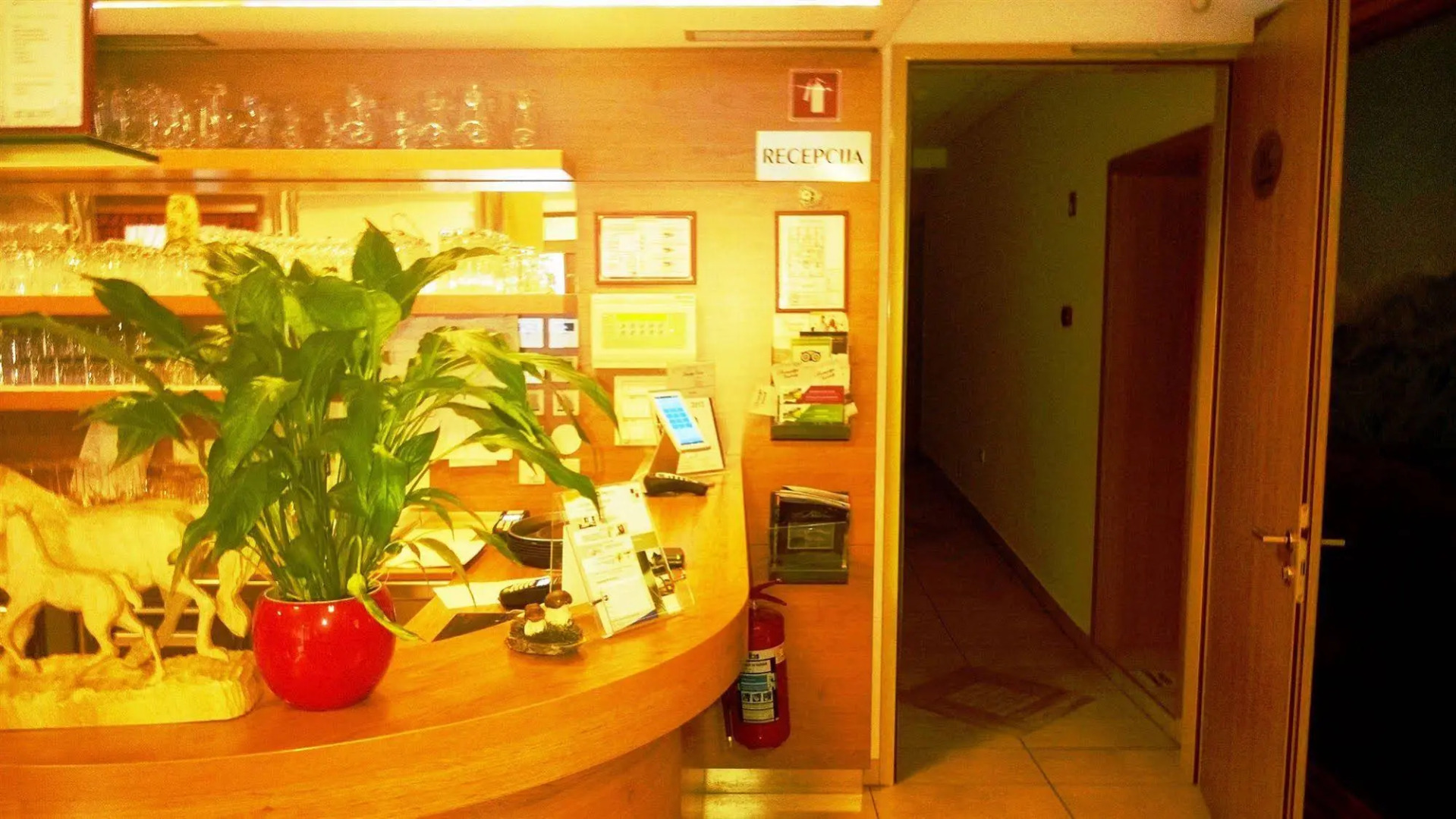 Hotel Vodnik & Apartments