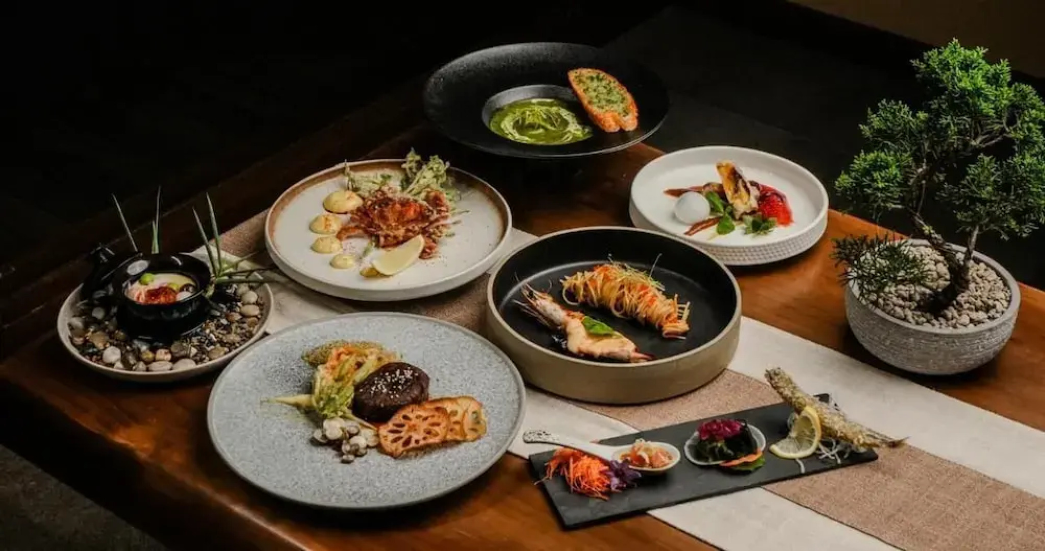 Zen By Stellar Cameron