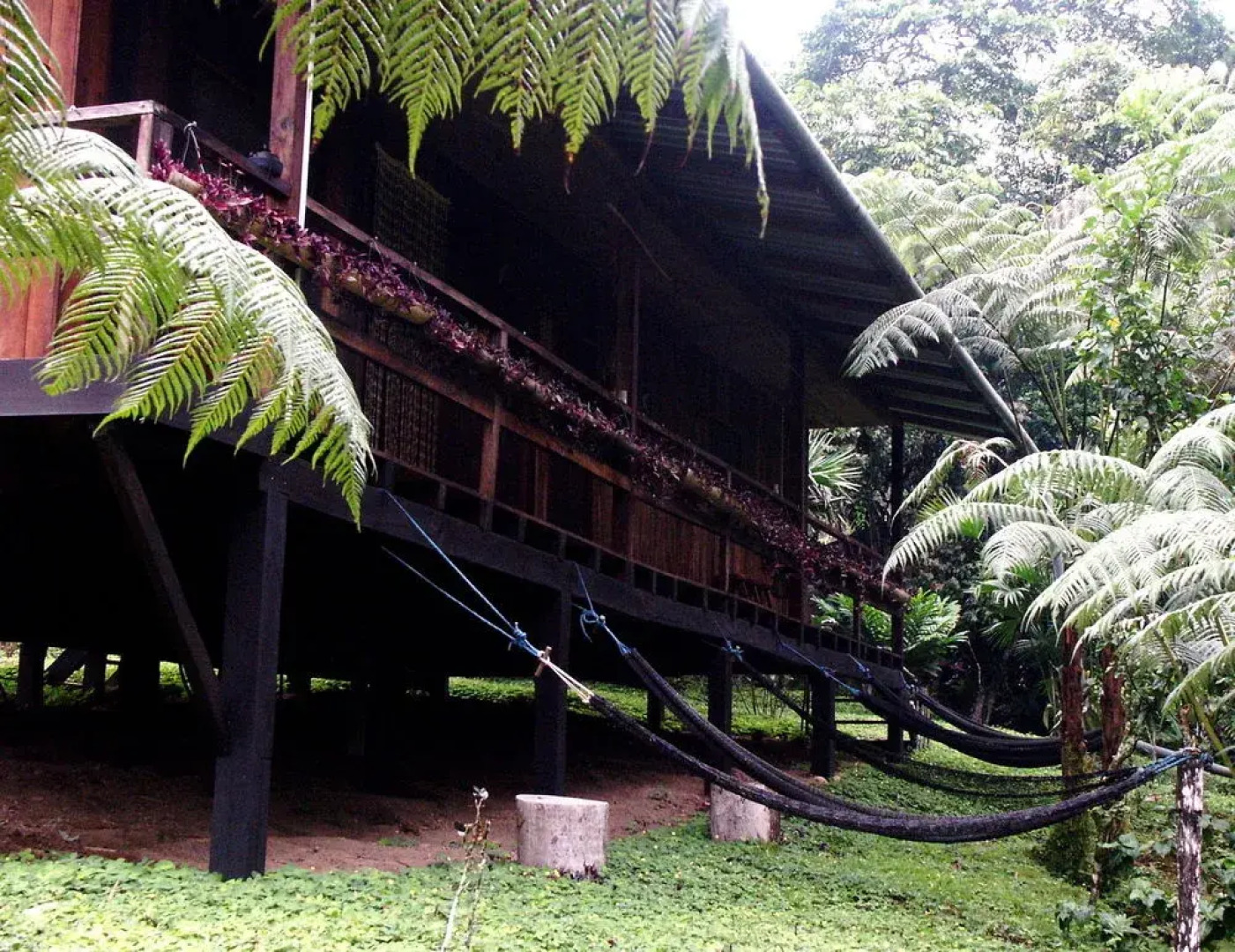 Hakuna Matata Lodge