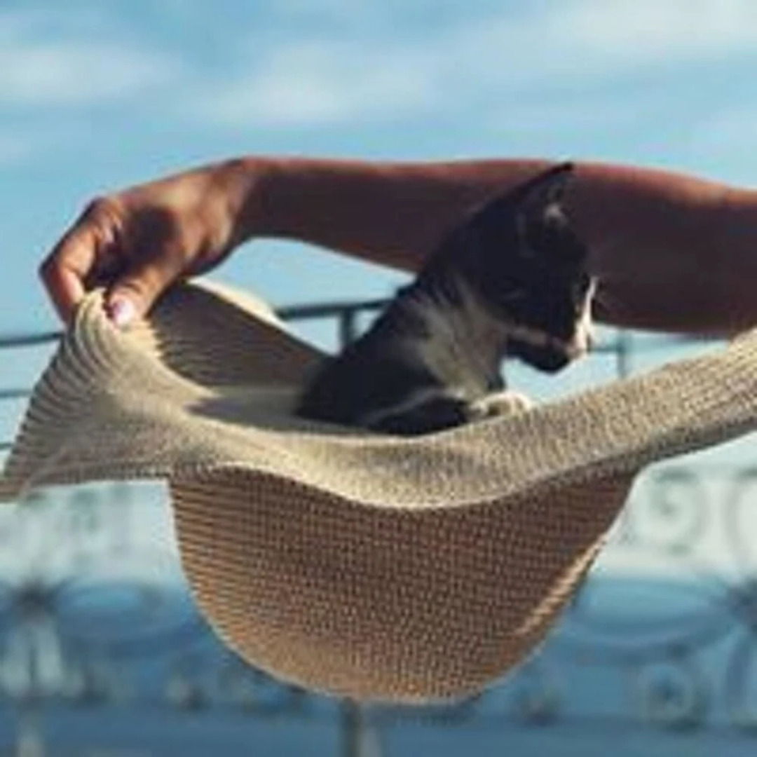 Villa With 3 Bedrooms in Zagora, With Wonderful sea View, Private Pool