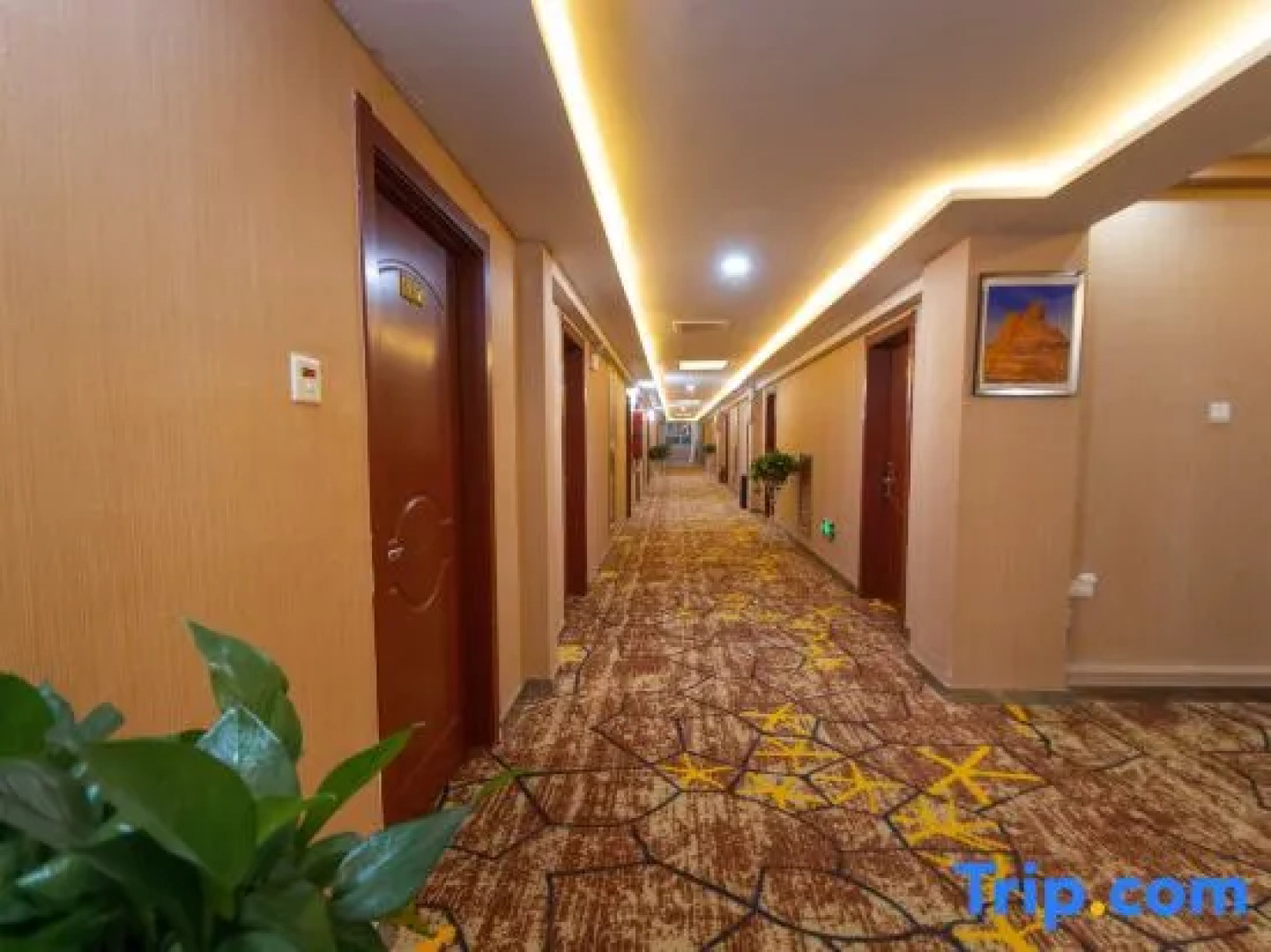 Ruoqiang holiday inn