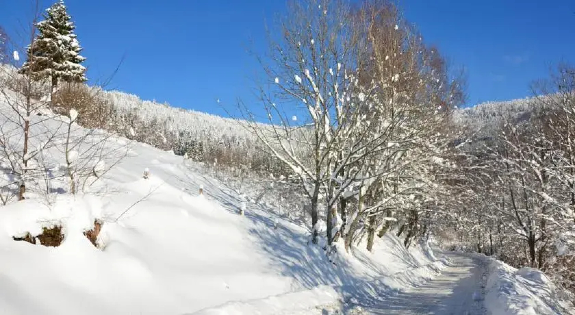 Le Pré de la Zimette