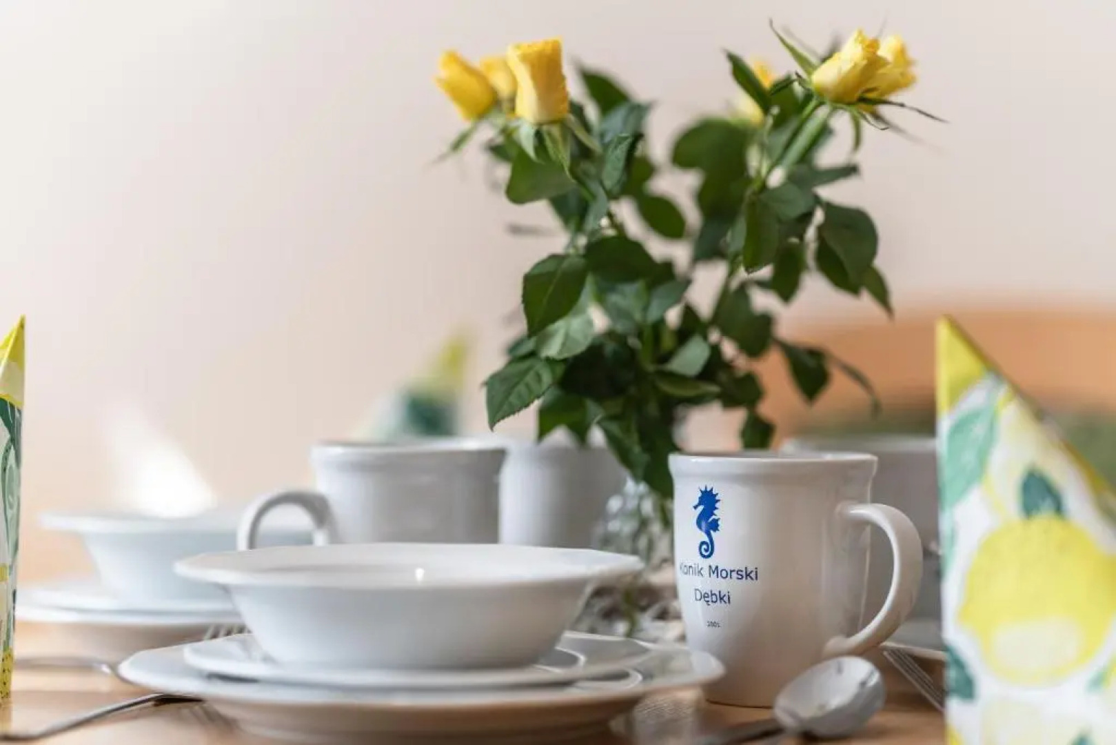 Pokoje Gościnne Konik Morski