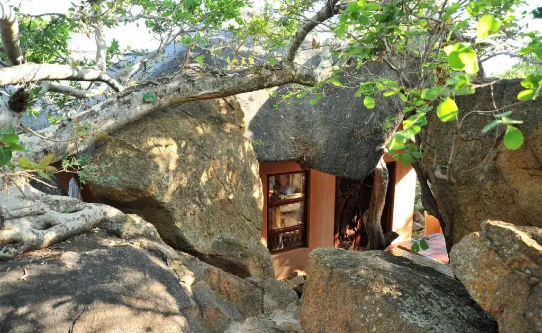 Wild & Free Game Lodge