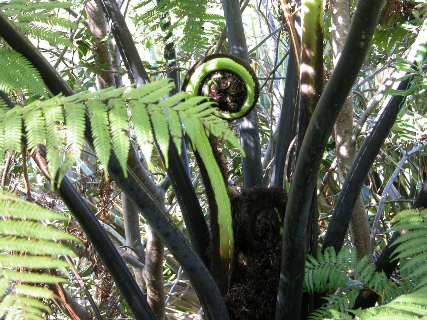 Westwind Homestay B & B