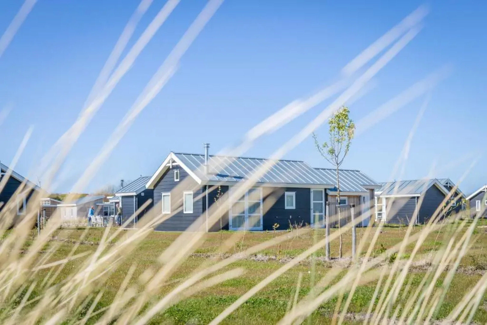 Duinpark Westerschouwen