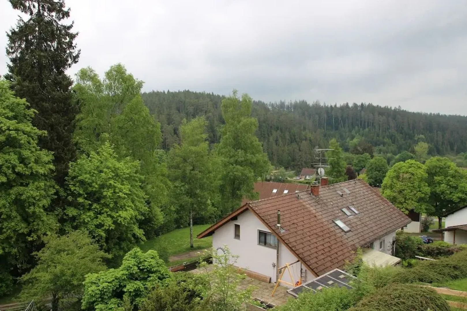 Kuckucksnester Friedenweiler