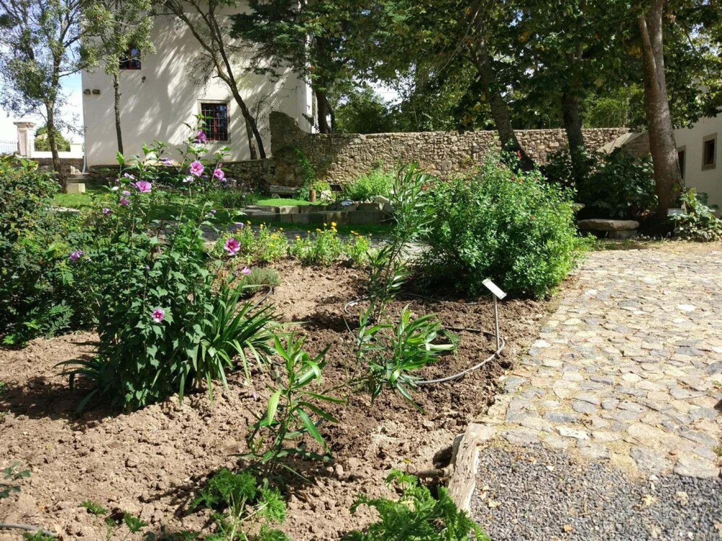 Palácio dos Marqueses