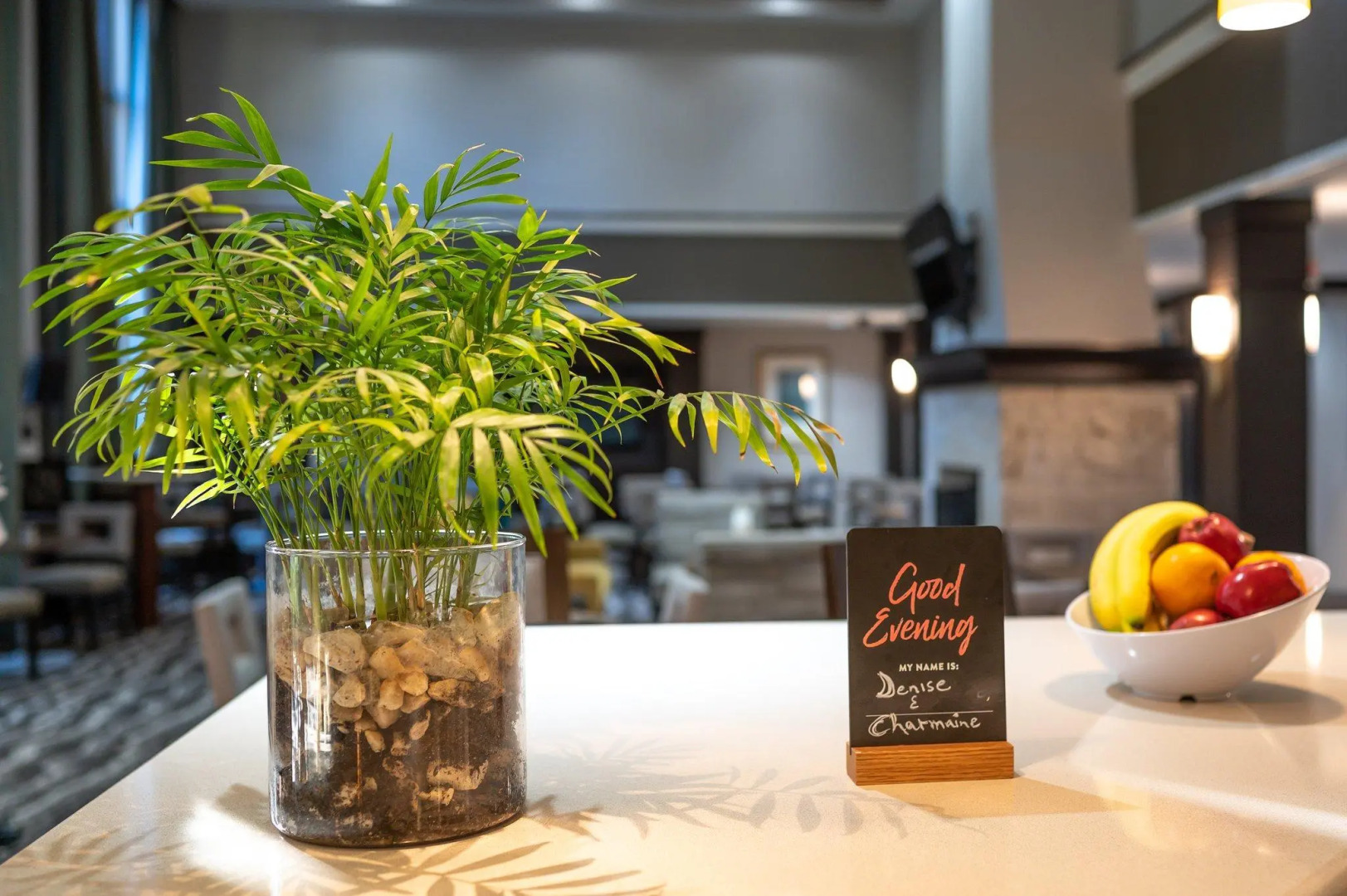 Sonesta ES Suites Fort Lauderdale Plantation