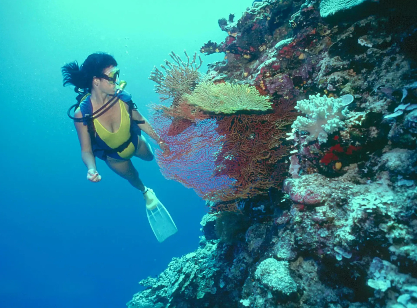 Loreto Bay Golf & Sea at Baja