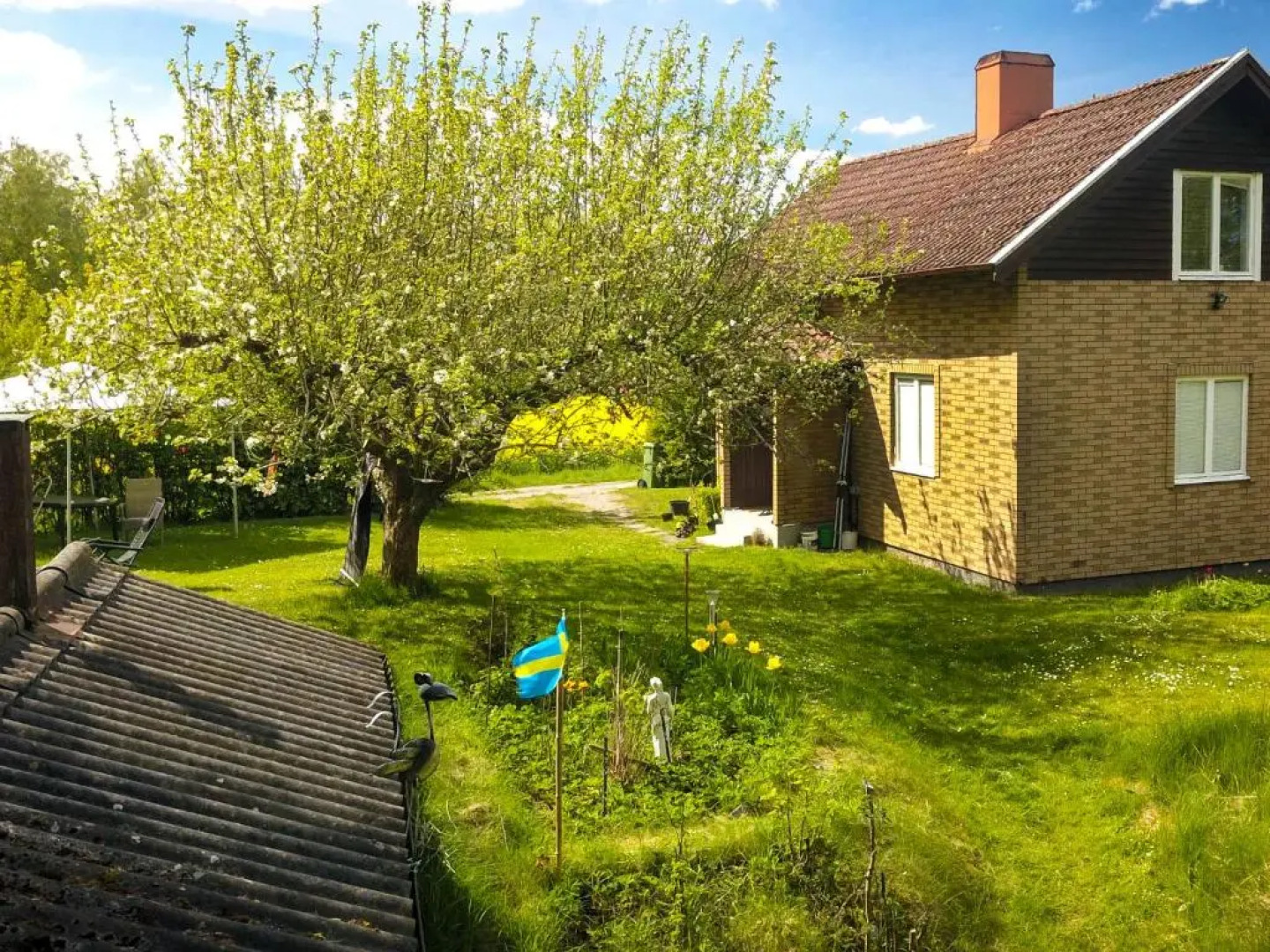 The Cozy Little House