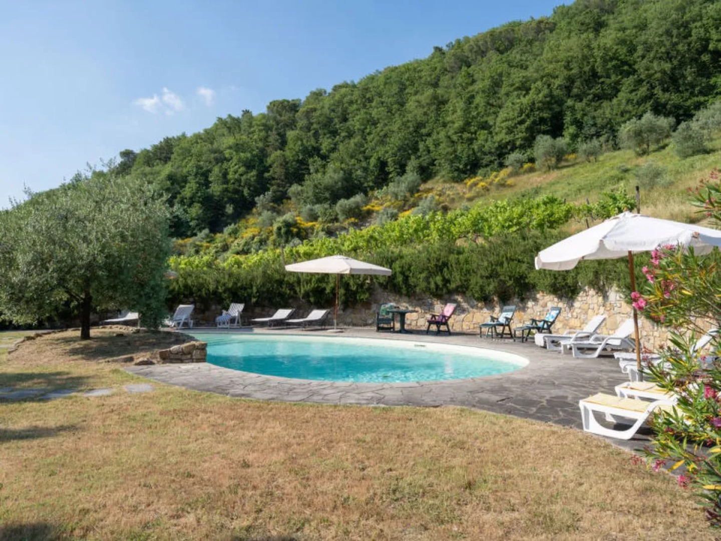 House Il Podere Dicomano 17827