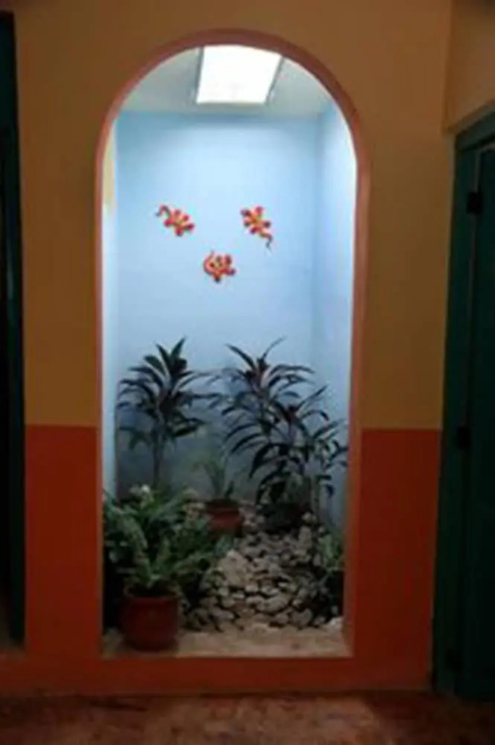 Tranquil Tropical Oasis in the Historic Center