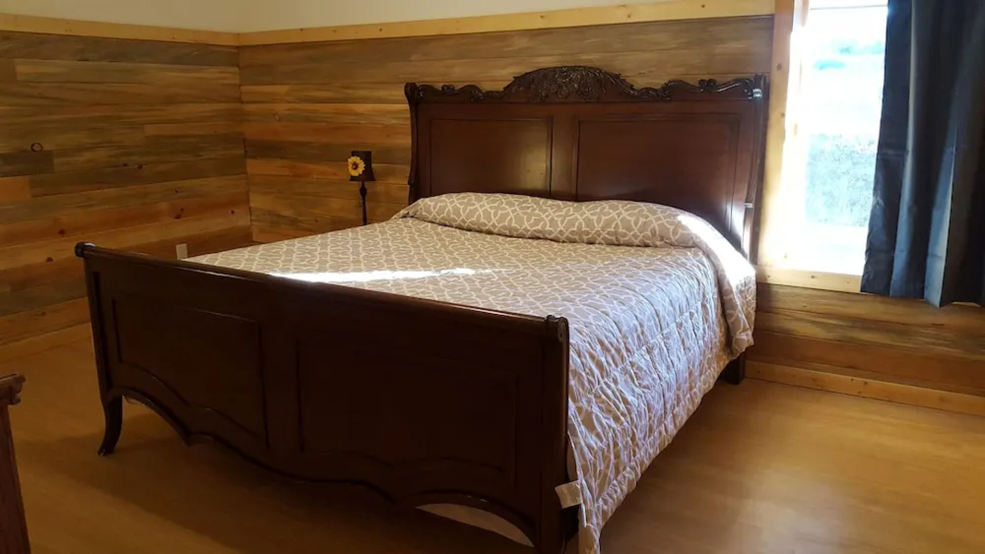 Wild Skies Cabin Rentals in Craig