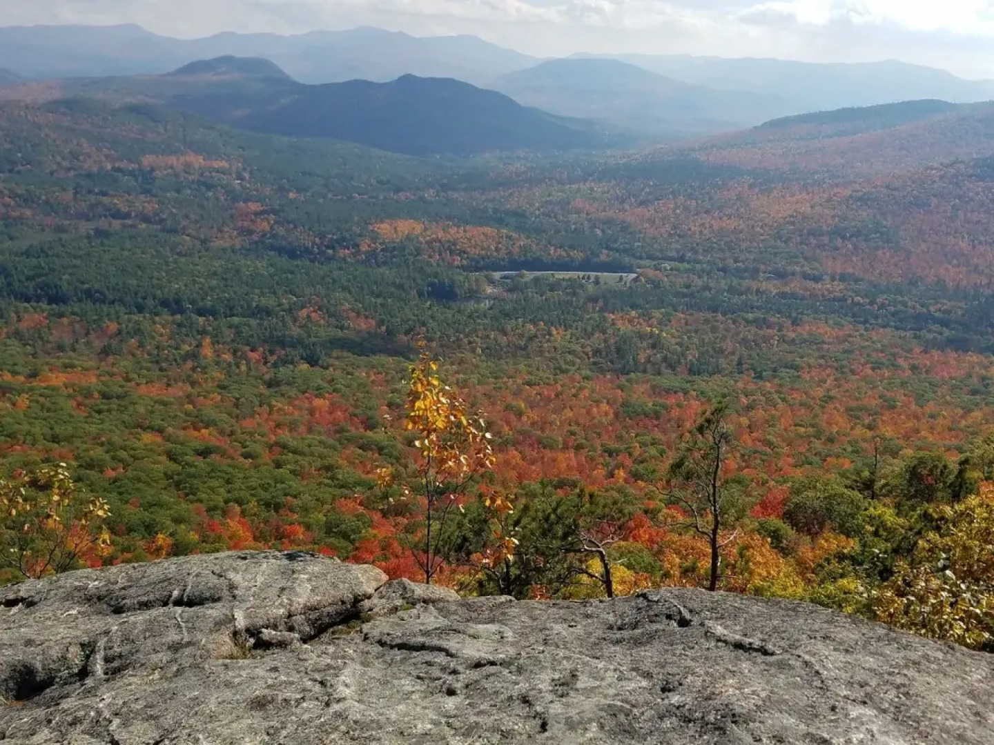 Town and Country Motor Inn