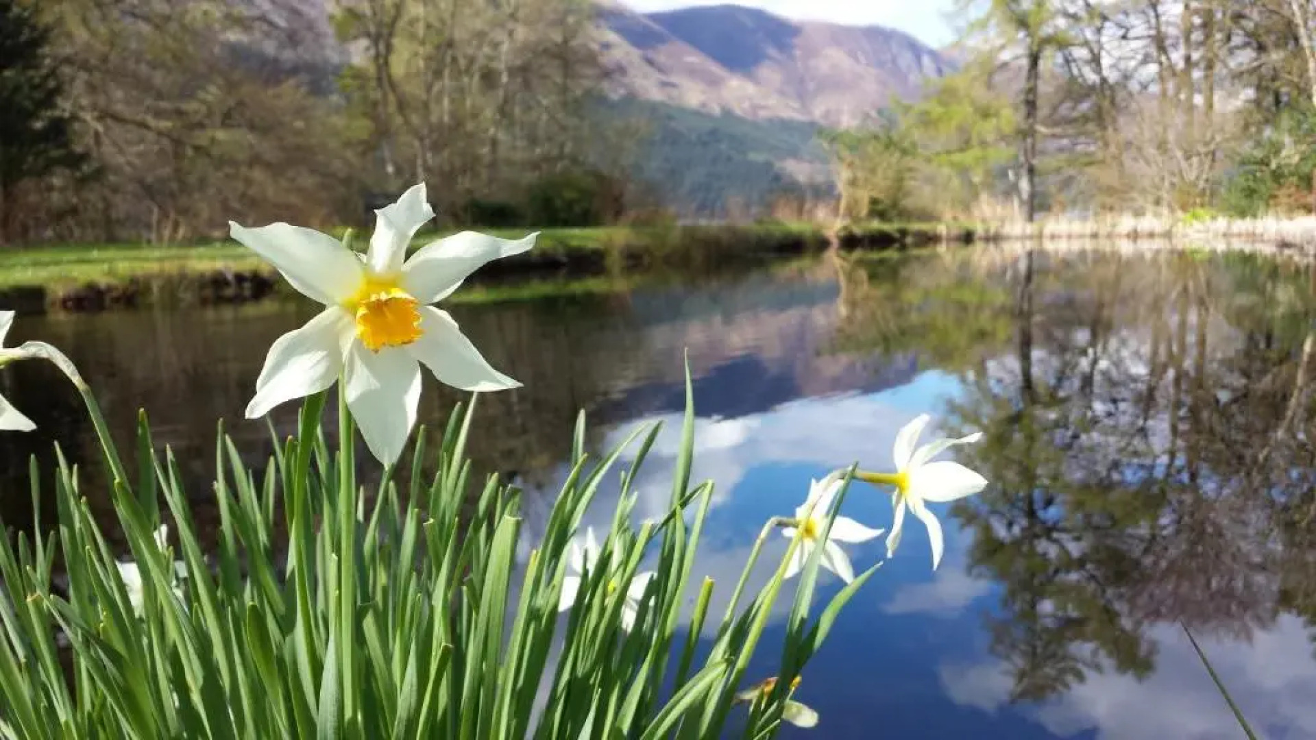 Invergloy Riverside Lodges
