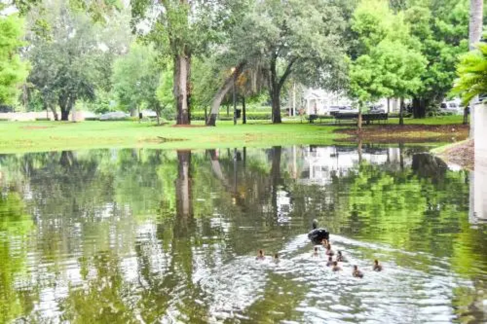 Lucaya Village by CND Holiday Homes