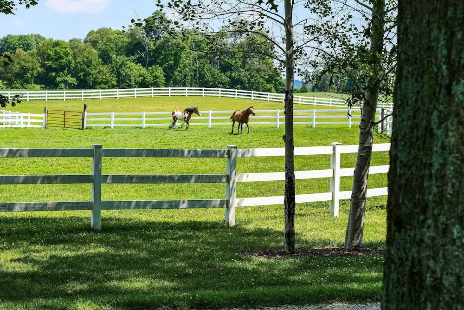 Renovated Bunkhouse on 12-acre Horse Farm!