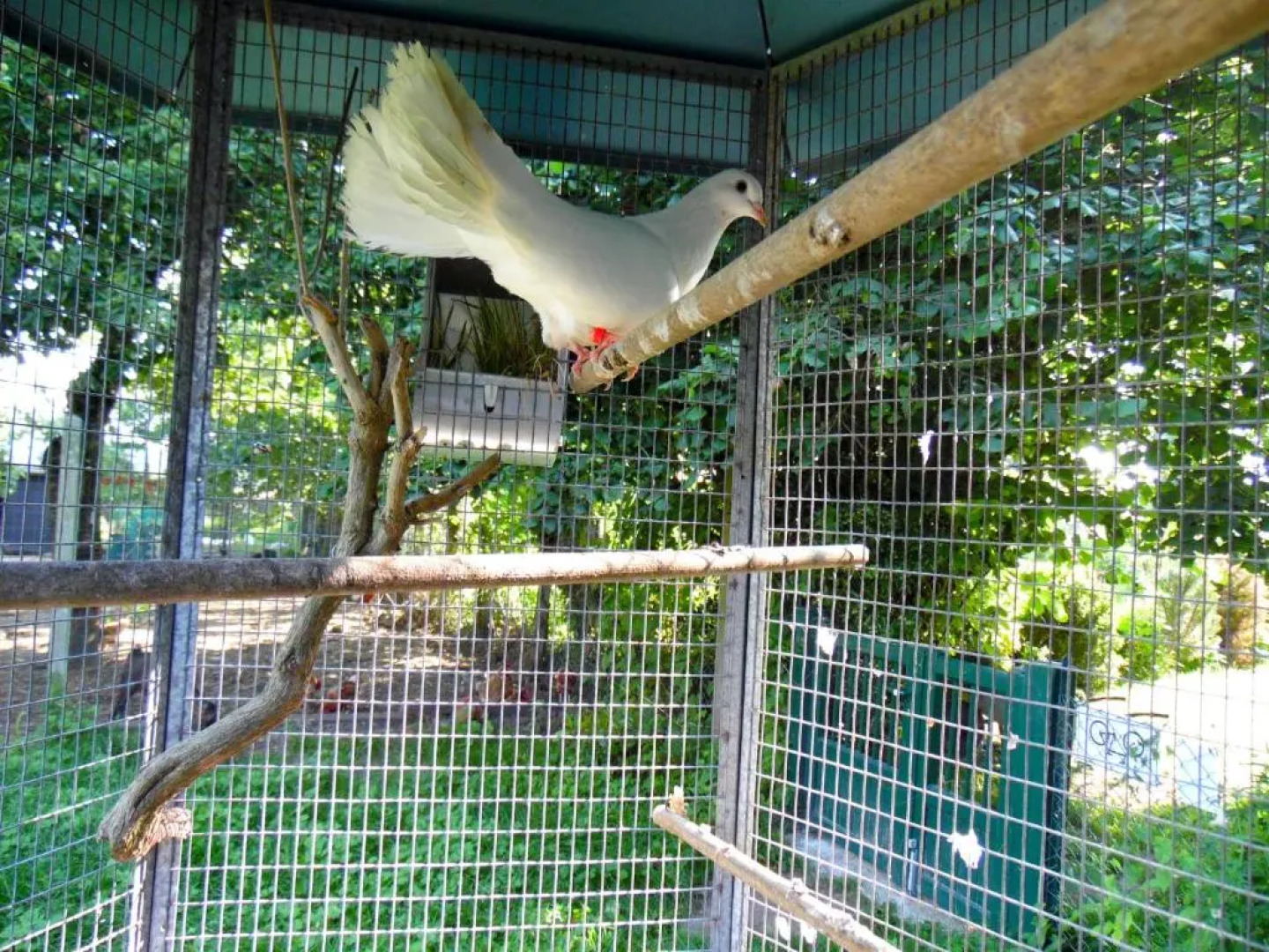 Gite Mont Saint Michel