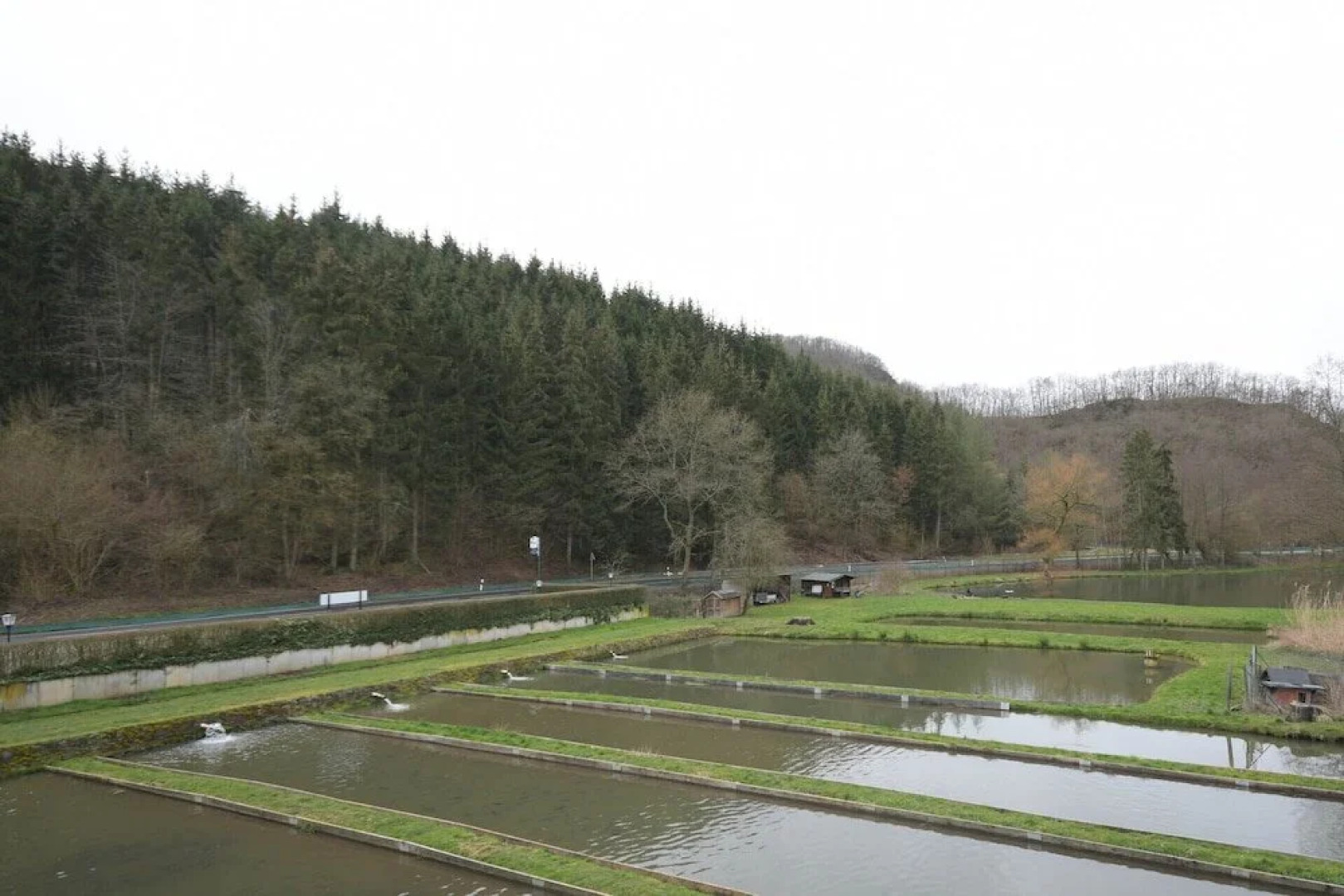 Hotel-Restaurant Forellenzucht