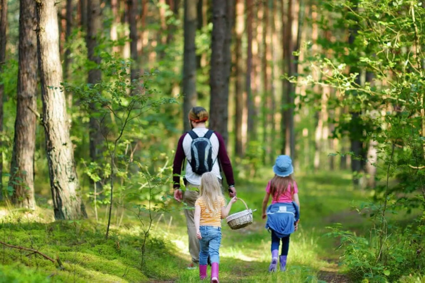 Chalets, Heringhausen