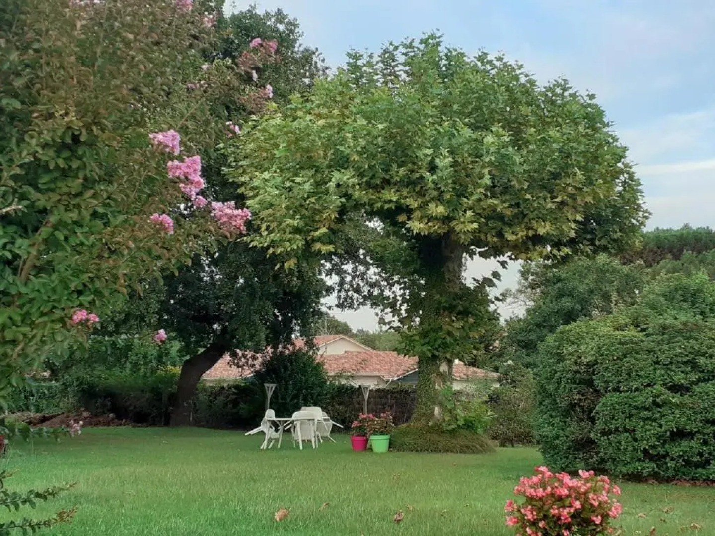 Gîte Pissos, 3 pièces, 5 personnes - FR-1-360-31