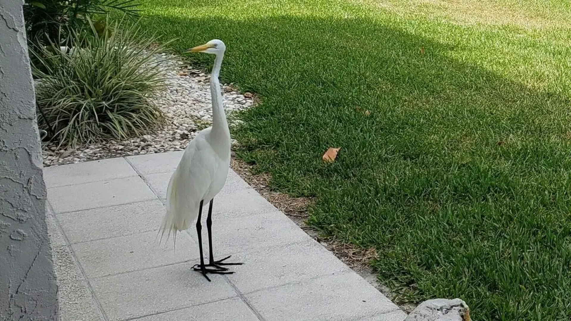 Runaway Bay Resort by BBG
