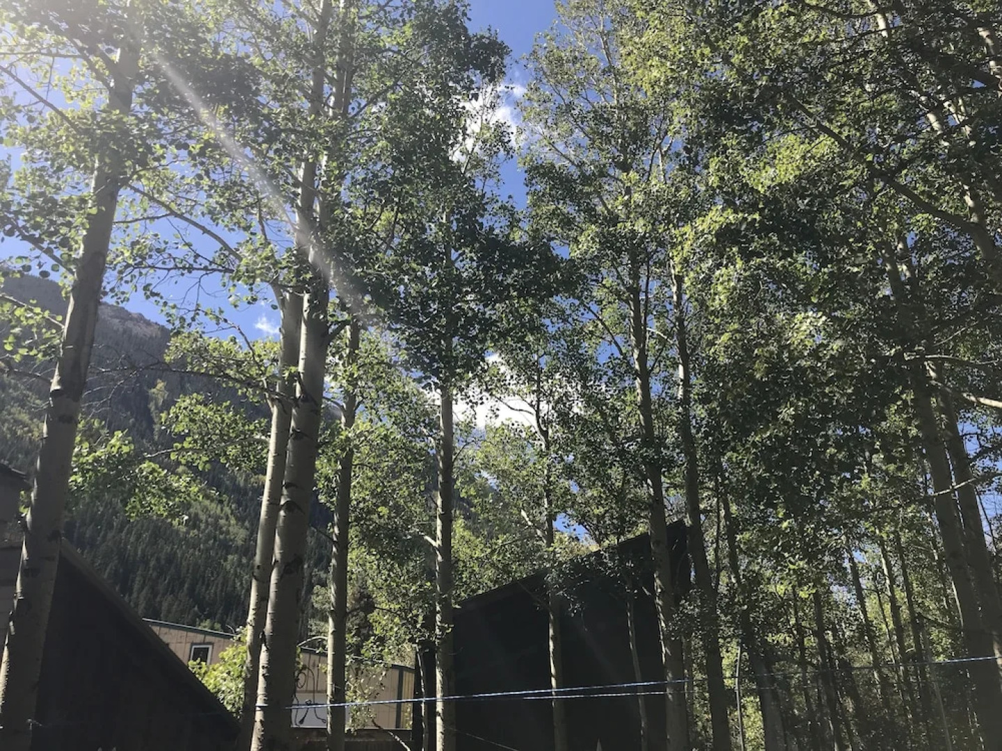 Historic Windsor Hotel