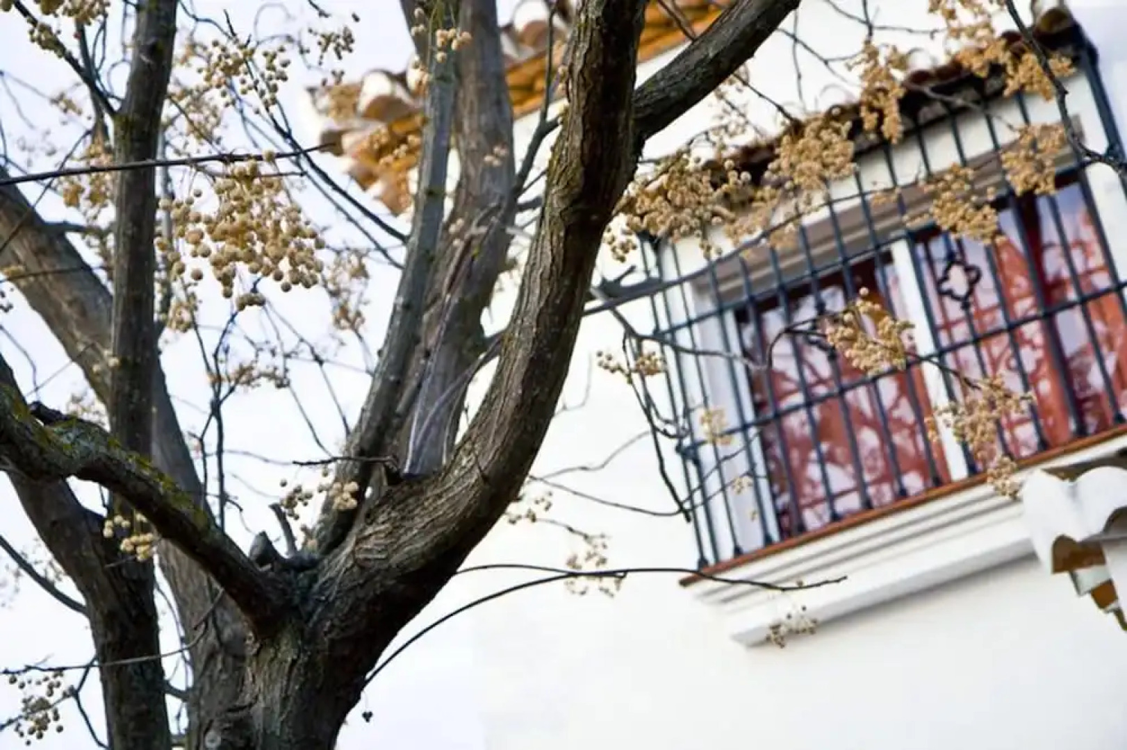 House With 3 Bedrooms in Atarfe, With Wonderful Mountain View, Private