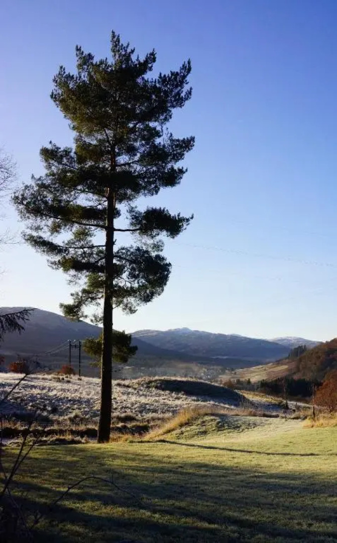 Cosy & compact Rowan Lodge no2