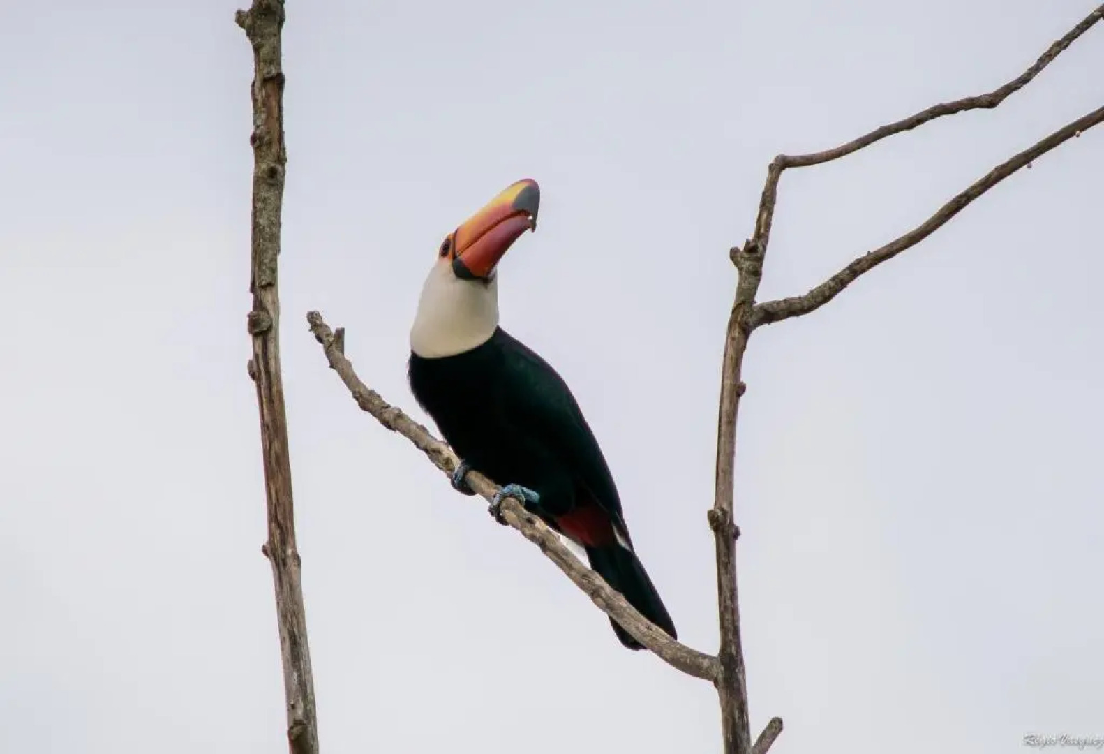 Pousada Marília de Dirceu