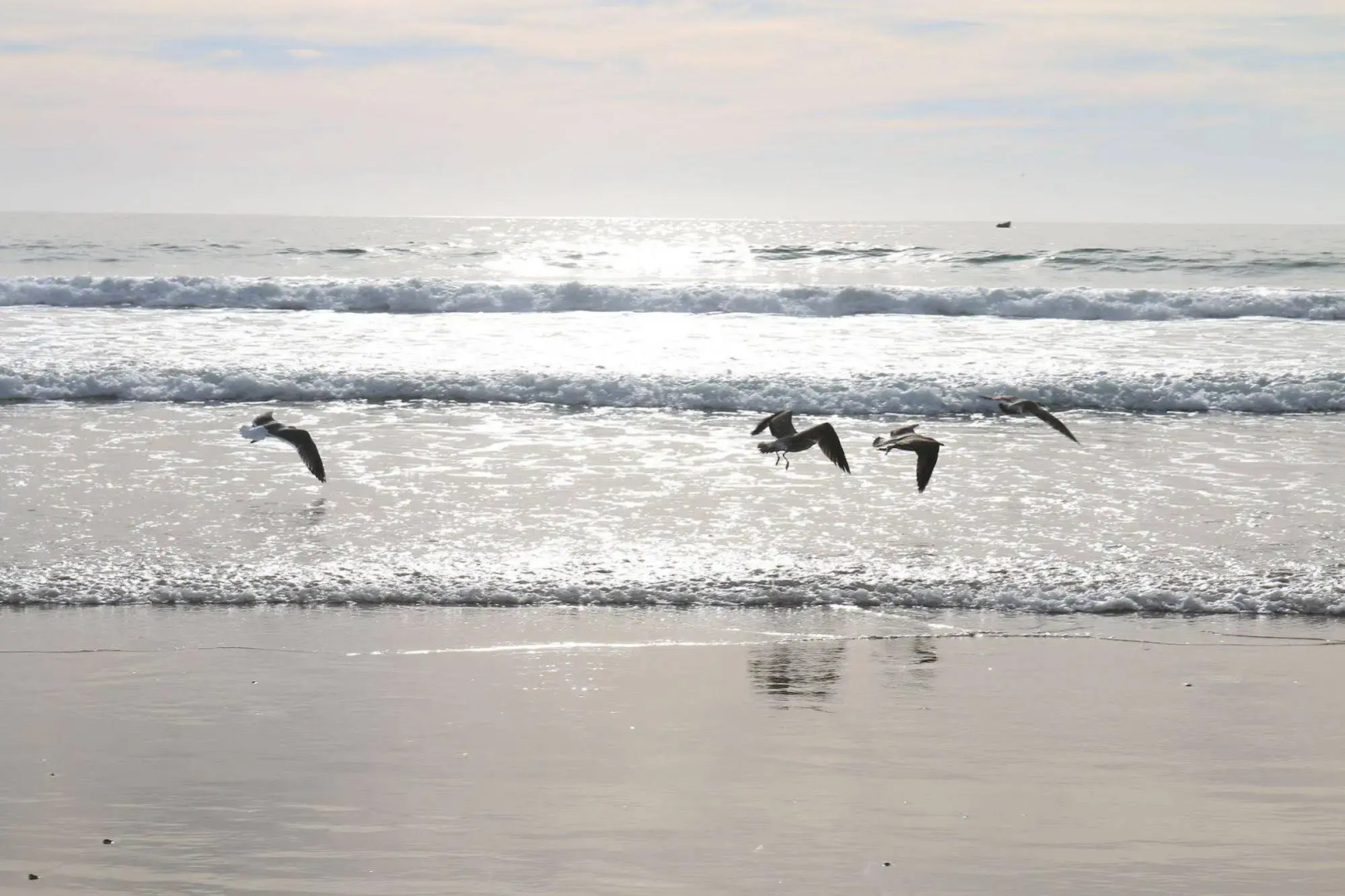 Lunja Village Taghazout