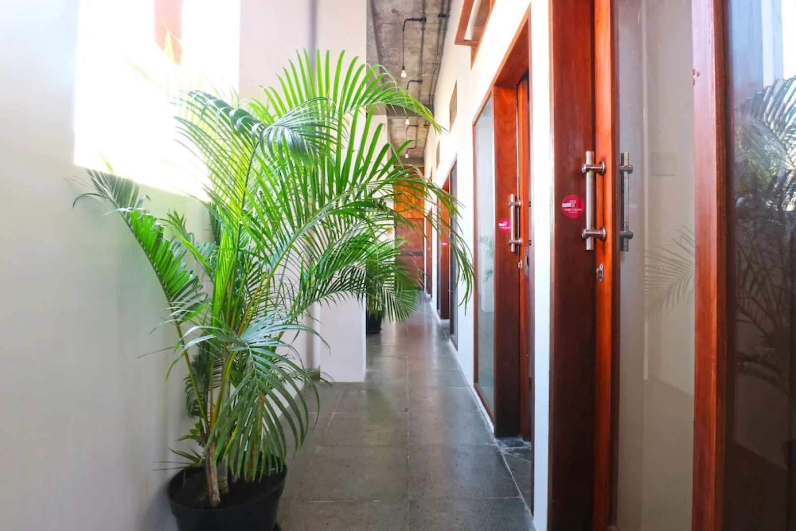 Tribe Theory - Startup House