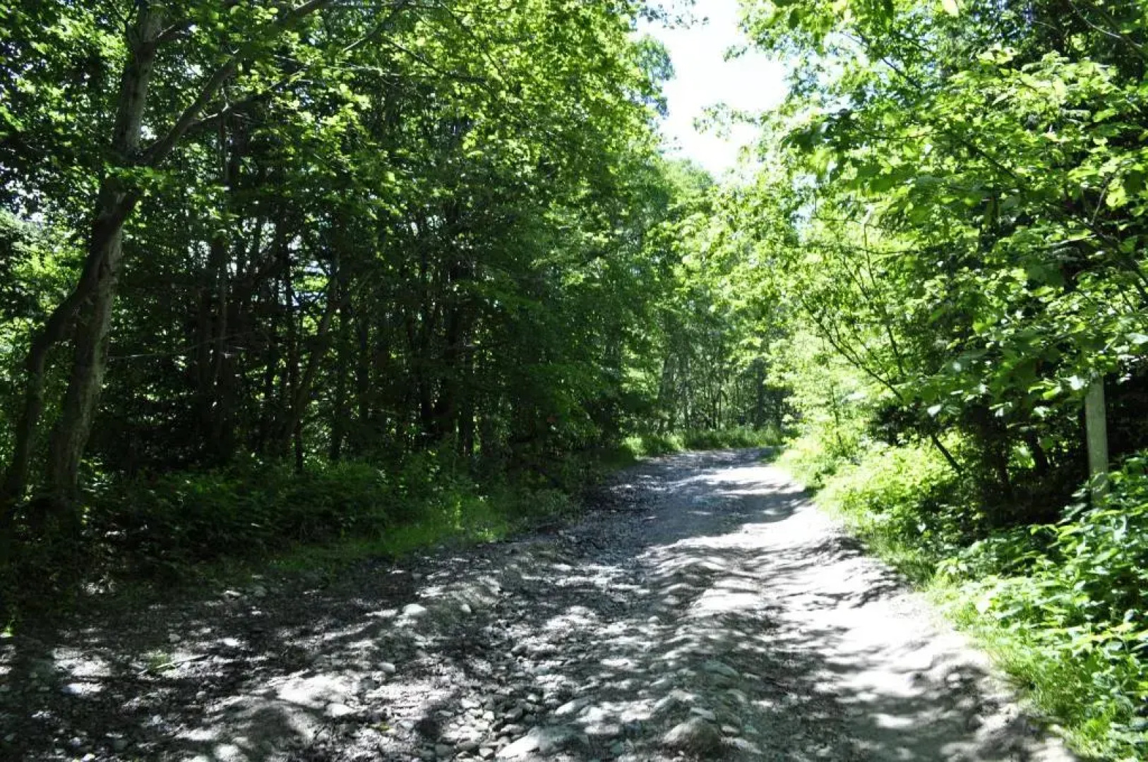 Cabana Cascada Cârnic