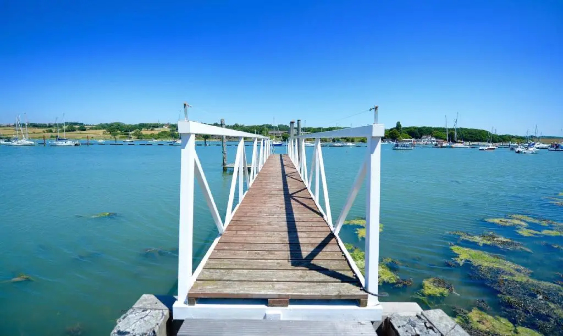 Pinkmead Estate And Vineyard