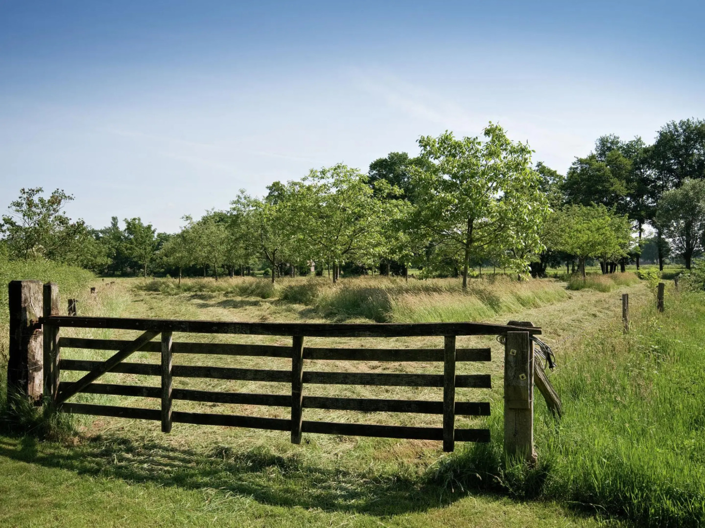 Stylish Farmhouse Escape